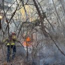 봉화남성 이미지