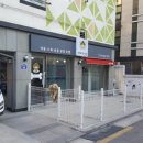 삐삐애견샵 이미지