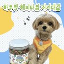 해피멍멍이 | [반려견간식] 강아지 간식 추천💛 하우펫 강아지 간식 ‘해피타임 저키대장 M’ 솔직 후기