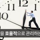 영복싱 클럽 이미지