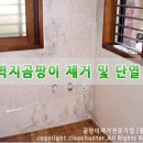 곰팡이헌터 이미지