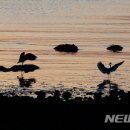 남해노을 이미지