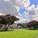 유등초등학교 이미지