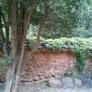 강골민박 이미지