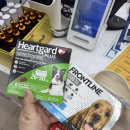 태리약국 이미지