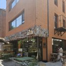 섬타르 서울숲 이미지