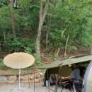 [공지] 포천 너우리캠핑농원 솔직 후기 🏕️ | 계곡+단체캠핑 다 되는 숨은 명소 발견!