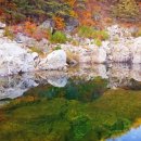 왕피천관광농원 이미지