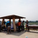 고랑포길 이미지