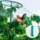 과수원 - 천안시 서북구 성정공원5로 51 | 과수원