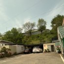 정자나무농원 이미지