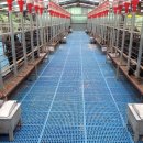 초방리농장 이미지