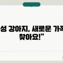 컴투펫 위탁보호센터 이미지