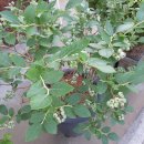 상승법률공인중개사사무소 이미지