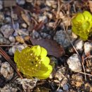 원일초등학교 이미지