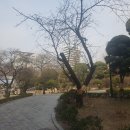 오원택 행정사 사무소 이미지