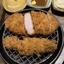 압구정 맛집- 카츠바이콘반 후기