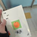 서울구의초등학교 | 책 <자몽 살구 클럽> 후기