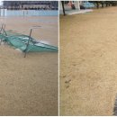 장흥남초등학교 이미지