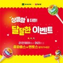 리안헤어 이미지