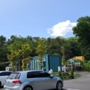 힐링독파크 이미지