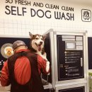 올리스(위례) 이미지