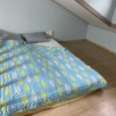 하늘빛소나무펜션 이미지