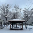 동부게이트볼장 이미지