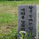 레포츠공원축구장 네이버블로그