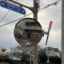 동광로24길 37 | 액땜 지대로 하고 온 나 홀로 제주 여행 • 4-6일차 | 부제: 끝은 창대하리라