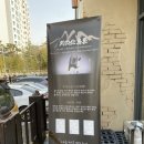 대지에서 | 용인죽전 흑돼지 맛집 대지식당 점심정식 후기