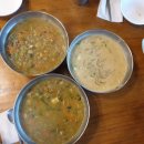 제주나그네 이미지