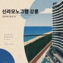 레지던스 쉼 | 강릉 숙소 신라모노그램 레지던스 추천 | 수영장, 카페, 일출 후기
