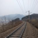 백신1리 이미지