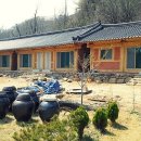 소나무황토집 이미지