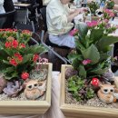 서부건강생활지원센터 이미지