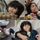 하루헤어스타일리스트