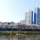 타이혼 스포츠아카데미 안산점 | 경기도 가볼만한곳 무료 카약, 보트 안산 호수공원