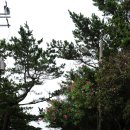 남원읍 신성동 | 제주 올레 5코스..