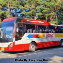 (주)동해보양온천컨벤션호텔 이미지