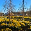 정원2농장 이미지