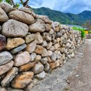 덕림사 | 군위 대율리 석조여래입상 &amp; 군위 화본리 오층석탑