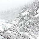 스테이523 이미지