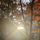 김해분청도자박물관 | 김해분청도자박물관 방문후기, 특별테마전시 공유