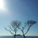 바다올레 이미지