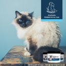 제이원피앤지 이미지