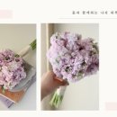 플라워데이 이미지