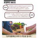 진주우리먹거리협동조합 진주텃밭 진양호 | (5月의 토마토)_방울토마토 매실절임 만드는 법 _진주텃밭을 소개합니다