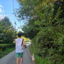 흥정계곡 공중화장실 이미지