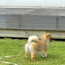 바이한림 이미지